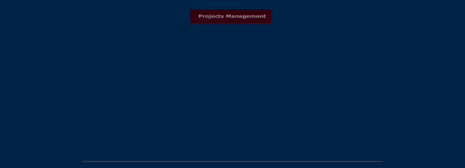 Projects Management